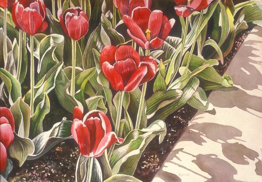Spring Rubies by Shirley Kleppe